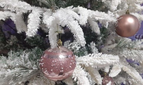 �������� ������ � �������� ������� �� 31 �������