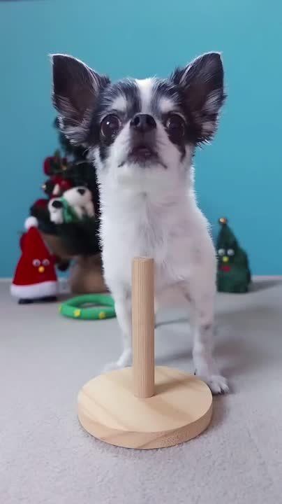 ������ ����!. ��� ����������� � ���������