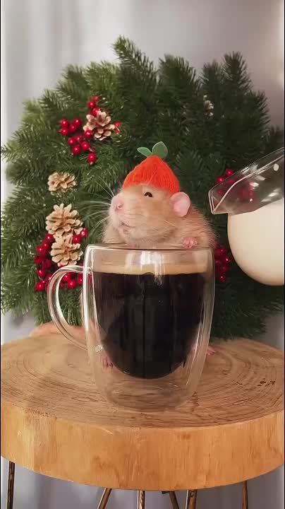 ������ ����!. ������ ����-����