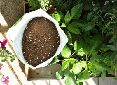 Выращивание растений в почвенных мешках: новые горизонты в садоводстве