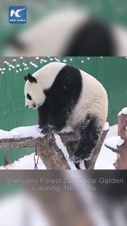 ����� � ���������, ������� ��, �� ������� (���� �� ���� �� �� ������ )�