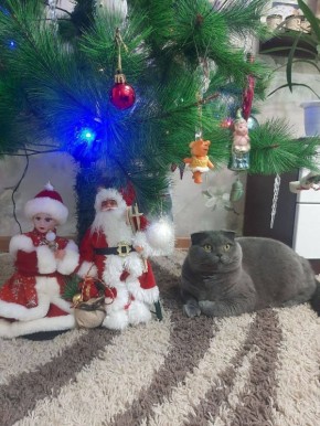 С наступающим, дорогие читатели!