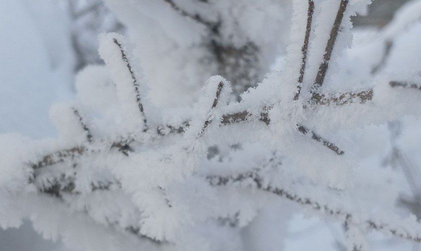 ������� ������ � �������� ������� �� 2 ������