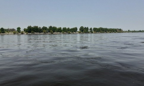 ������ ������ �� ������� ��������� ���������� ������� ������ � ���� ���, ����������� ������� ��� ��������� ������