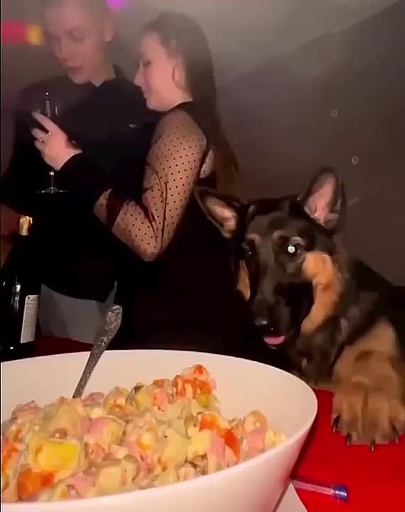 ������ ����!. �������, ���� ��������� � �������