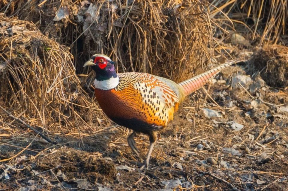 �����, ����!�: � ��������� ������ ����� ����� �� ������ � ������� ����