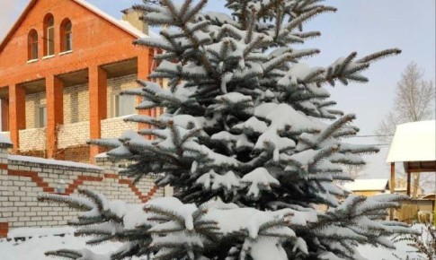 ������� ������ � �������� ������� �� 3 ������.�������� ����� �������� �� 13 ������ � ������� (����)