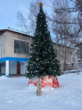 ����� ���, �������� ����!?