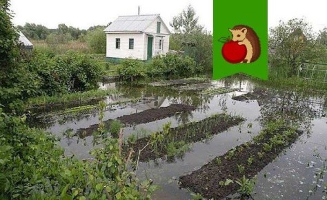 �������� ������� ��������� ���: ��� ���������� � ������������� �� ������ �������?