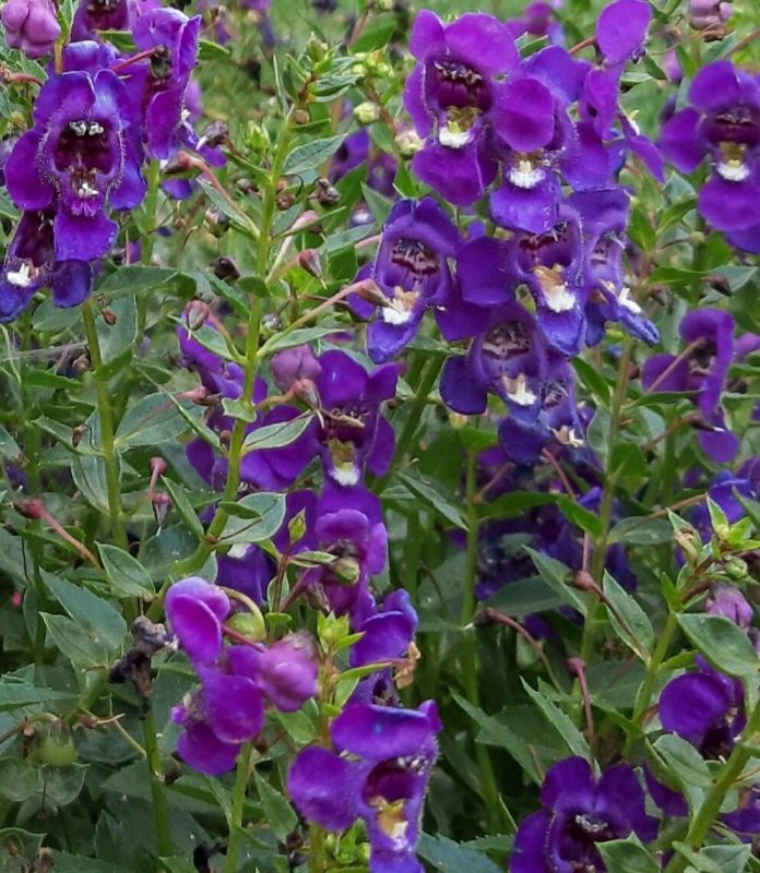 �������� ���������: ��� �������� ����� ������� � ��� ���