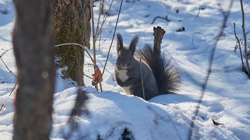 ������� ��������� ������ ������� ���������� � ���� ���� � ������ ����� ����