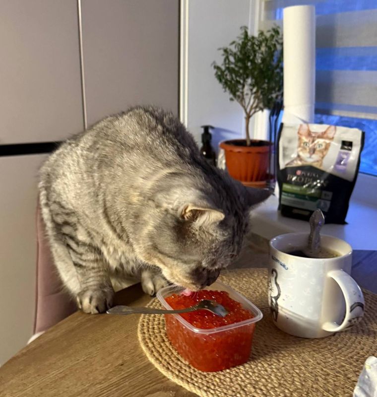 ���� ��� �������! ��������