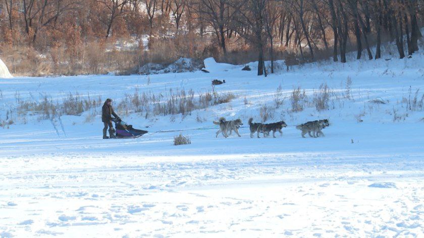 Хоккейный турнир в валенках и катания в собачьих упряжках: амурчан зовут активно провести новогодние праздники