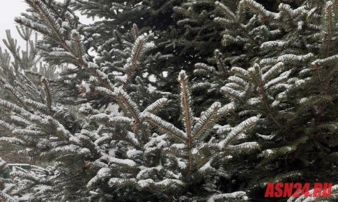 Прогноз погоды в Амурской области на 5 января