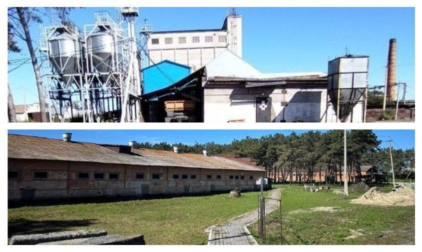 ���������� ������������� ��� � �������� ���� ����������� �� ����������� ������ �� ��������� ���������