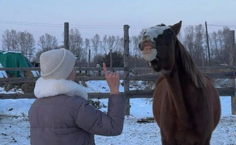 Забава из села Поляна Серышевского округа умеет «улыбаться» по команде