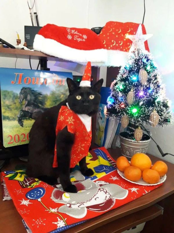 �� ��� ��?. �������� ��� �� ��������� @ampravda