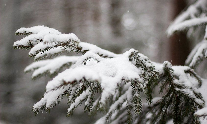 ������� ������ � �������� ������� �� 6 ������.�������� ��������� ��������� ���� (����):��