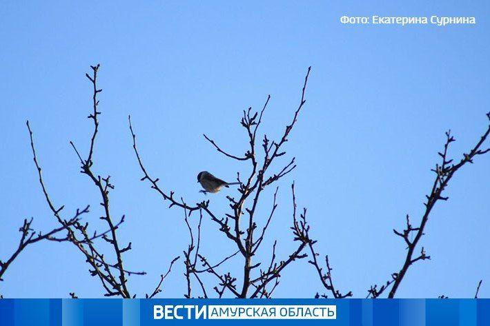 ��������� ����: ������� ������ � ��������� �� 6 ������