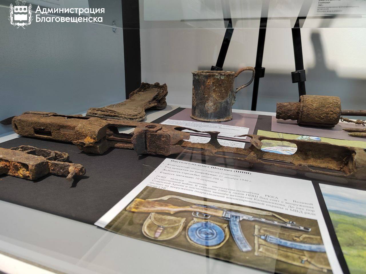 От динозавров до цифровых инсталляций: что можно посмотреть в музеях Благовещенска От динозавров до цифровых инсталляций: что можно посмотреть в музеях Благовещенска