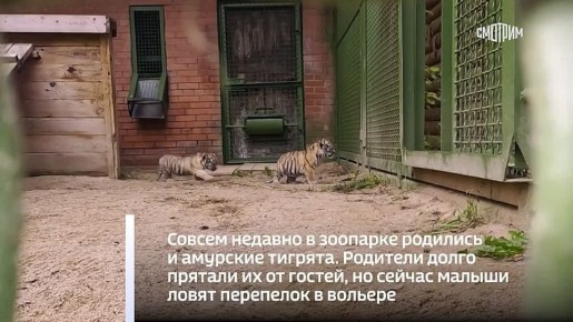 ����� 200 ��������� �������� � �������� ����������� �������� � 2025 ���� - ����������� ��������� ������� � �������� ������