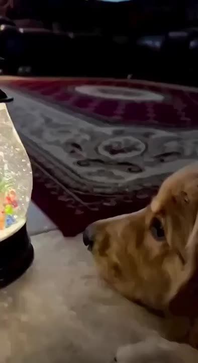 ������ ����!. ����� ����!