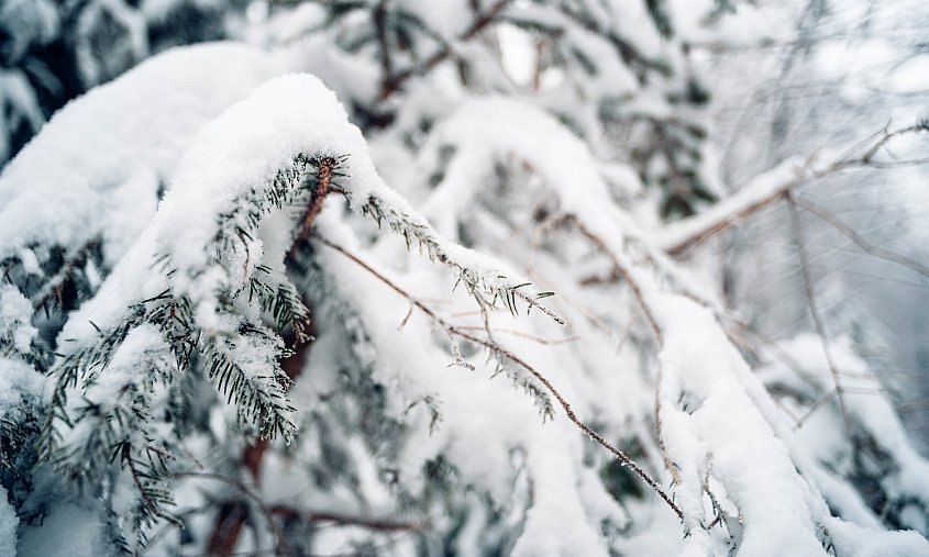 Прогноз погоды в Амурской области на 7 января. Местами по северу ночью до -37 градусов (ПАЗЛ):