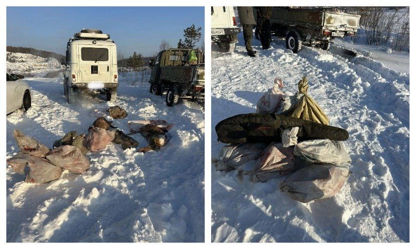 ����� ������ ������ ����: � ��������� ���� � ��� ���������� ���� ������