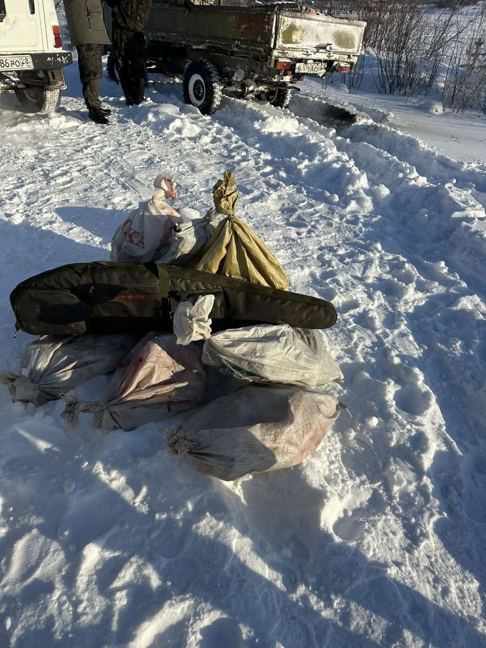 Семья браконьеров из поселка Чагоян застрелила семь косуль Семья браконьеров из поселка Чагоян застрелила семь косуль