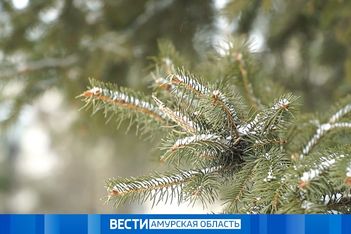 Переменно облачно и без снегопадов: прогноз погоды на 8 января в Приамурье