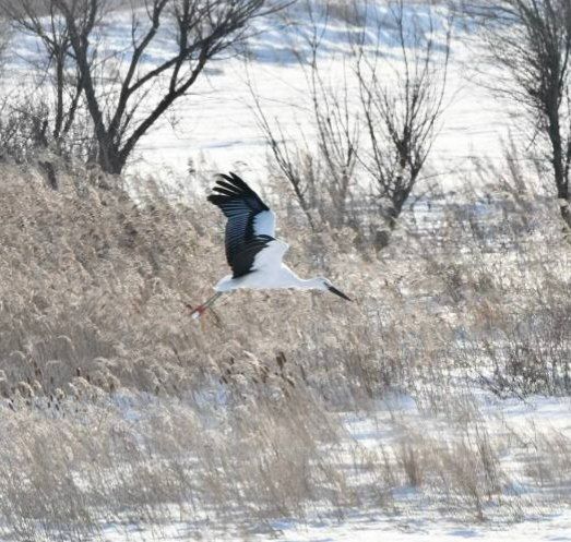 ���-�� ����� �� ���: ������� ���� ������� �������� � ���������