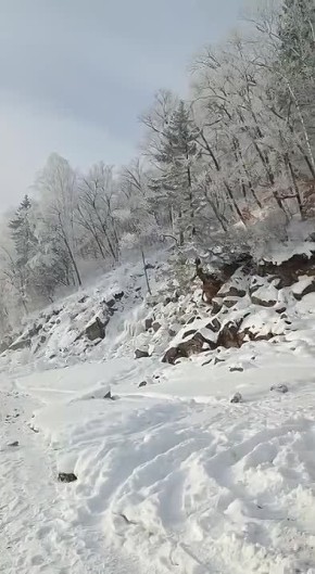 ��������� ������� ������� ����� ���������� ���� � ����������