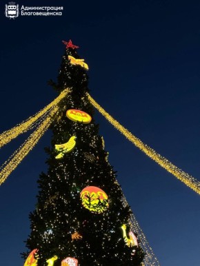 Прогноз погоды в Благовещенске на 7 января: