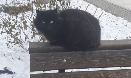 Прогноз погоды в Амурской области на 8 января