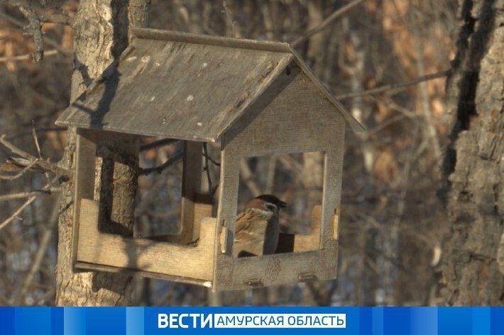 �� -18�� ����: ����� ������ ���� ������� 9 ������