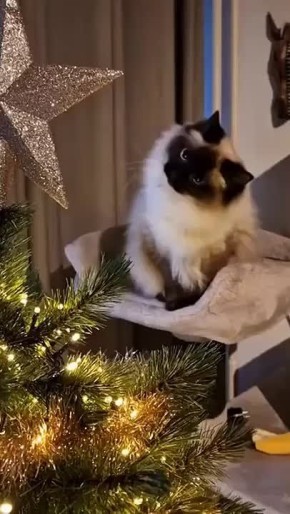 Доброе утро!