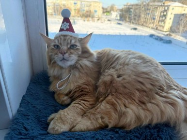 Когда праздники продолжаются ооочень долго