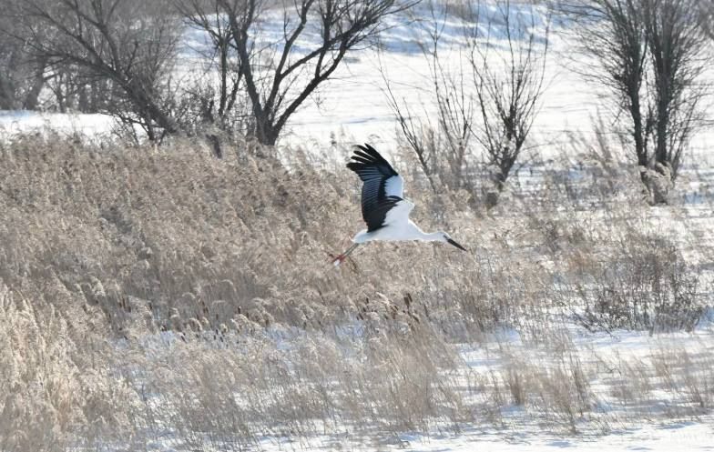 ������ ������ � ������� ����������: ����� �� ������� �������� � ���������