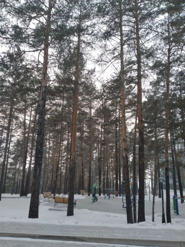 ������� ������ � �������� ������� �� 9 ������