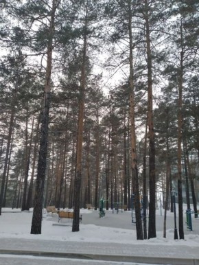 ������� ������ � �������� ������� �� 9 ������