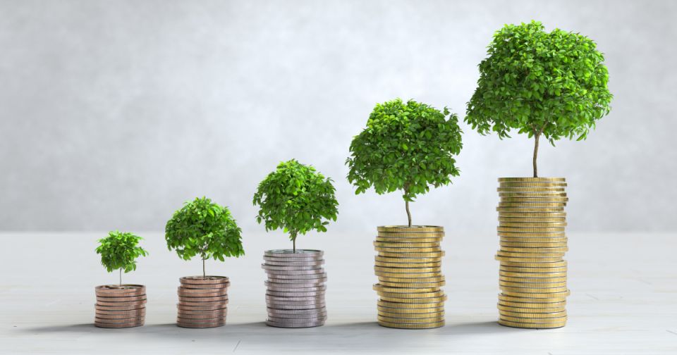 ����� ��������� ��� �������������� �������� � ����� ��������� � ��������: ��� ��������� � 2025 ����?