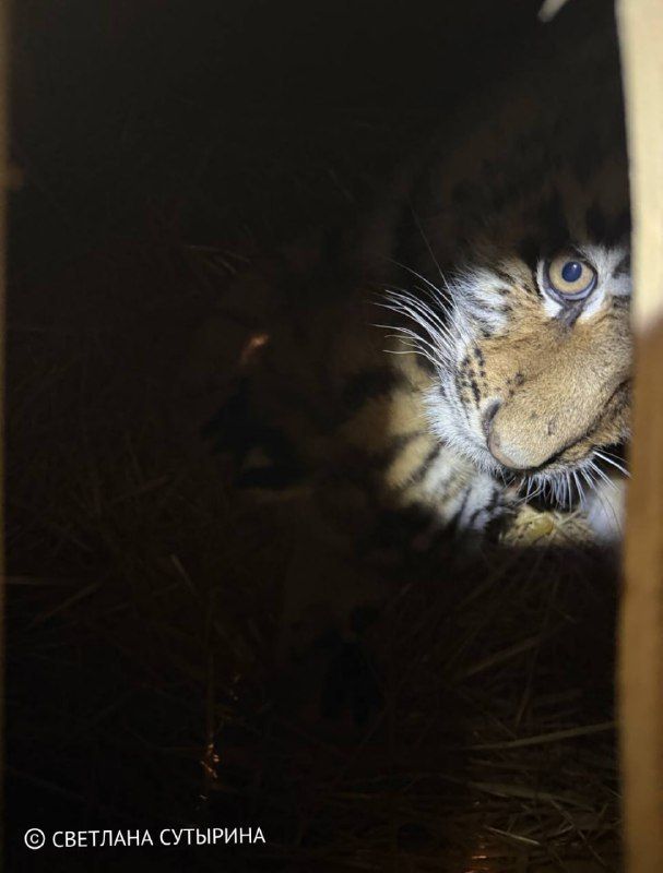 �������������� ����: ���� �������� ������, ���������� ��� ������, ������ � ��������