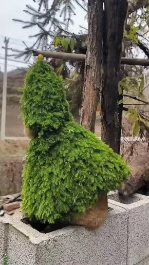 Доброе утро!. Вам повезло! Вы повстречали новогоднего друида, вы получаете +10 к новогоднему настроению и +15 к удаче и терпению до конца года!