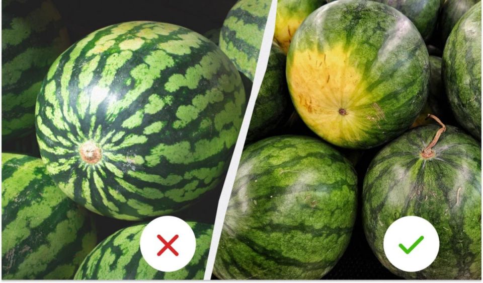 ��� ������� ��������� �����: ������� ��� �������� �����������