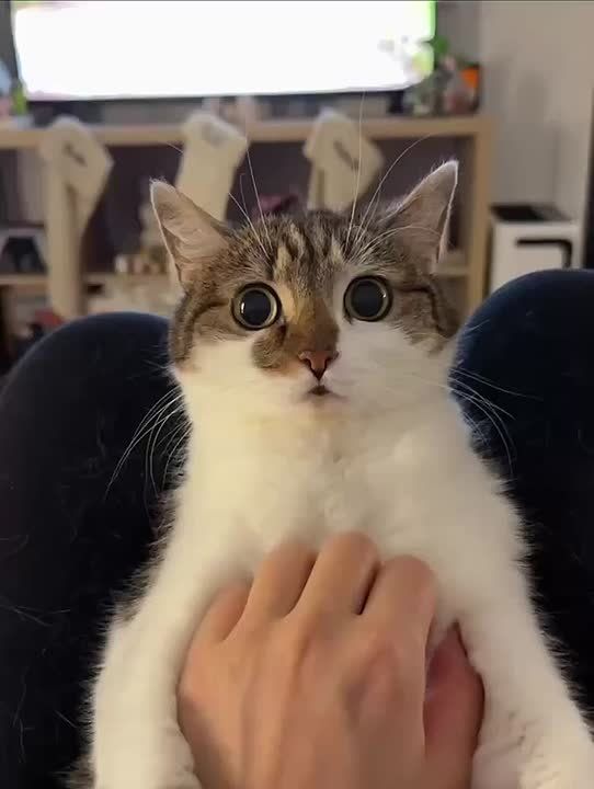 ������ ����!. ���������� �������! �� �������, ��� �������� �������� 2 ���