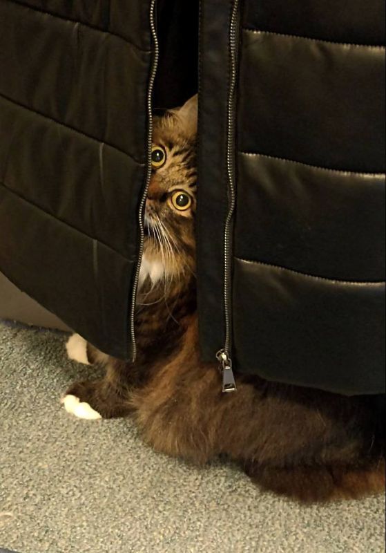 ��-��!. �������� ��� �� ��������� @ampravda