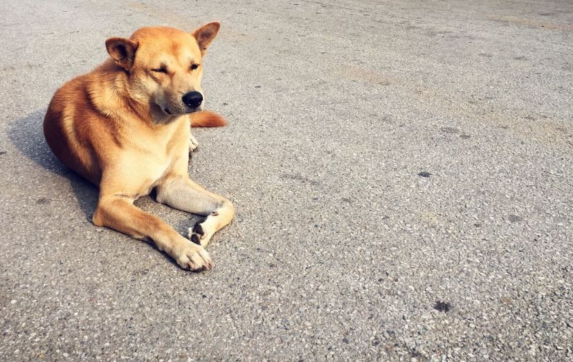 ��������� �� ��������: � ������������� ������� ��������� ���������� � �������� ��������� � ���������