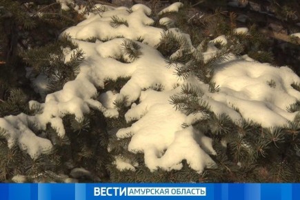 �� -45 ��: ������� ������ �� 12 ������ � ���������