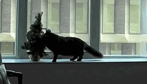 ������������ �������� ��� ��������� ���������� �������������, ��� ��������� ������������� ���� ����� ���������� ����������