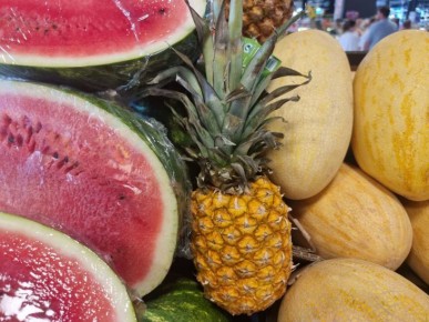 ������� ������ �������-������������� ��� �������� ������ �� ���������� �����������: ���� � ������ � �������� �������